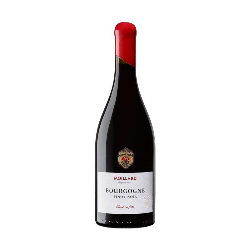 Moillard Bourgogne Pinot Noir 2023 - Vintage Wine & Spirits