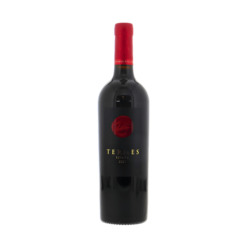 Numanthia Termes Toro 2021 - Vintage Wine & Spirits