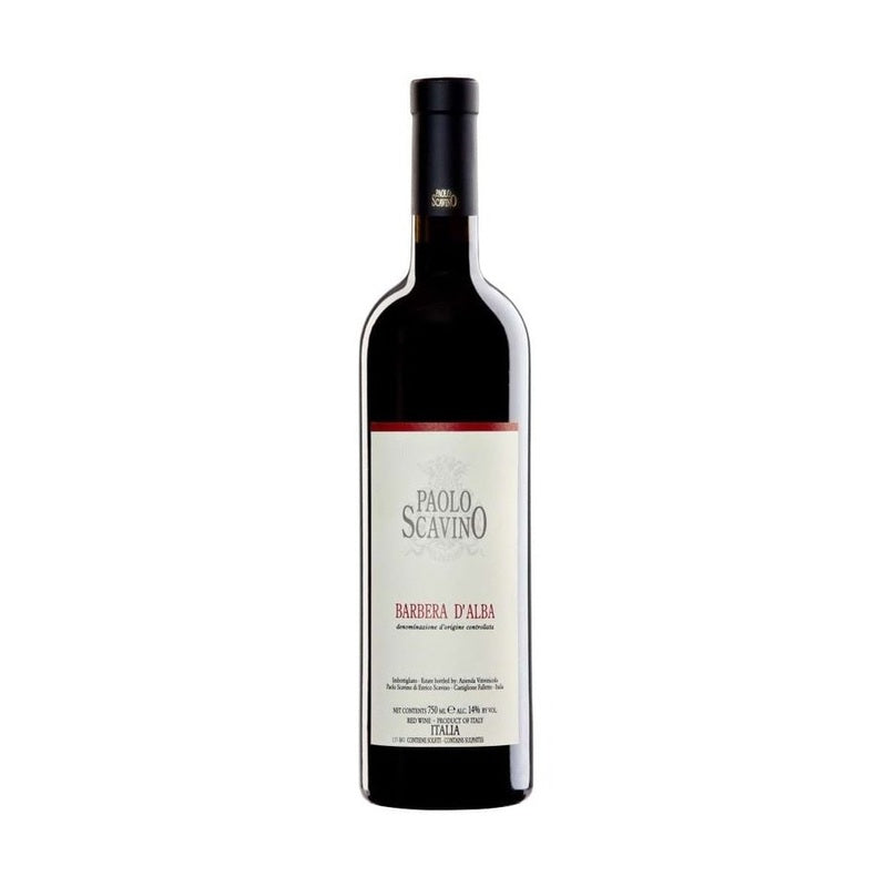 Paolo Scavino Barbera D'Alba 2021 - Vintage Wine & Spirits