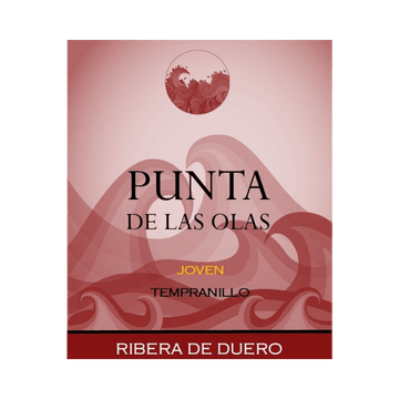 Punta De La Olas Joven 2019