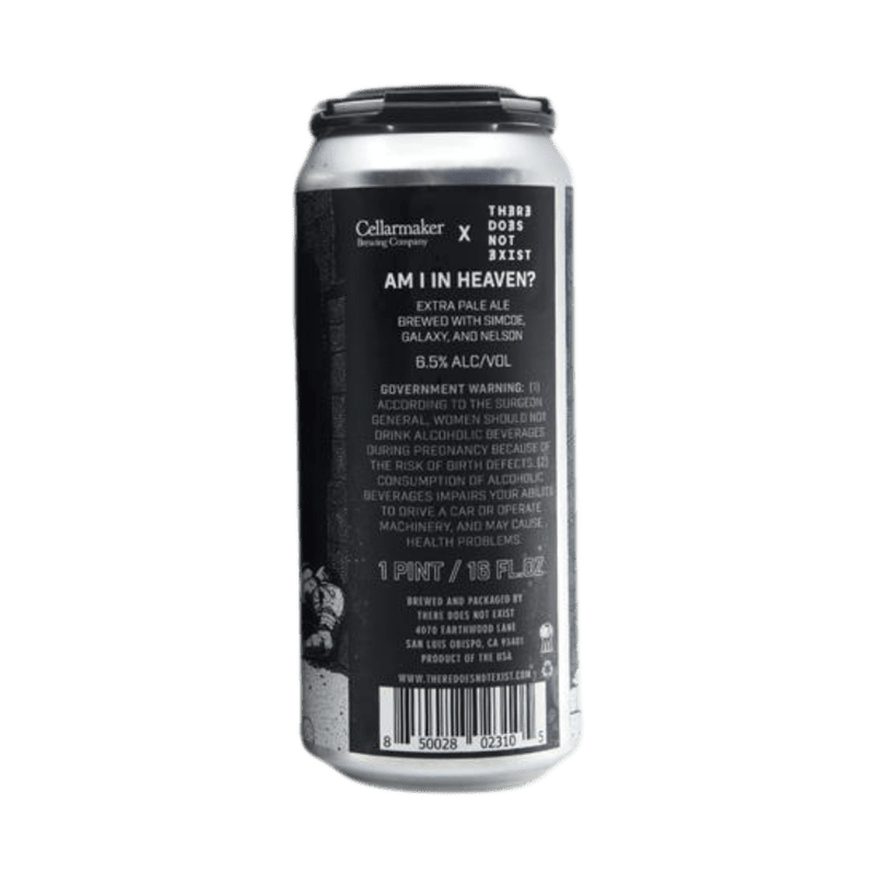 There Does Not Exist Rotating Pale Ale Single Can - Vintage Wine & Spirits